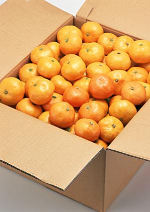 長野県の農家による美味しいお米
