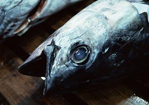 岡山で長年愛されるお弁当の名店つるやの魅力と店舗情報